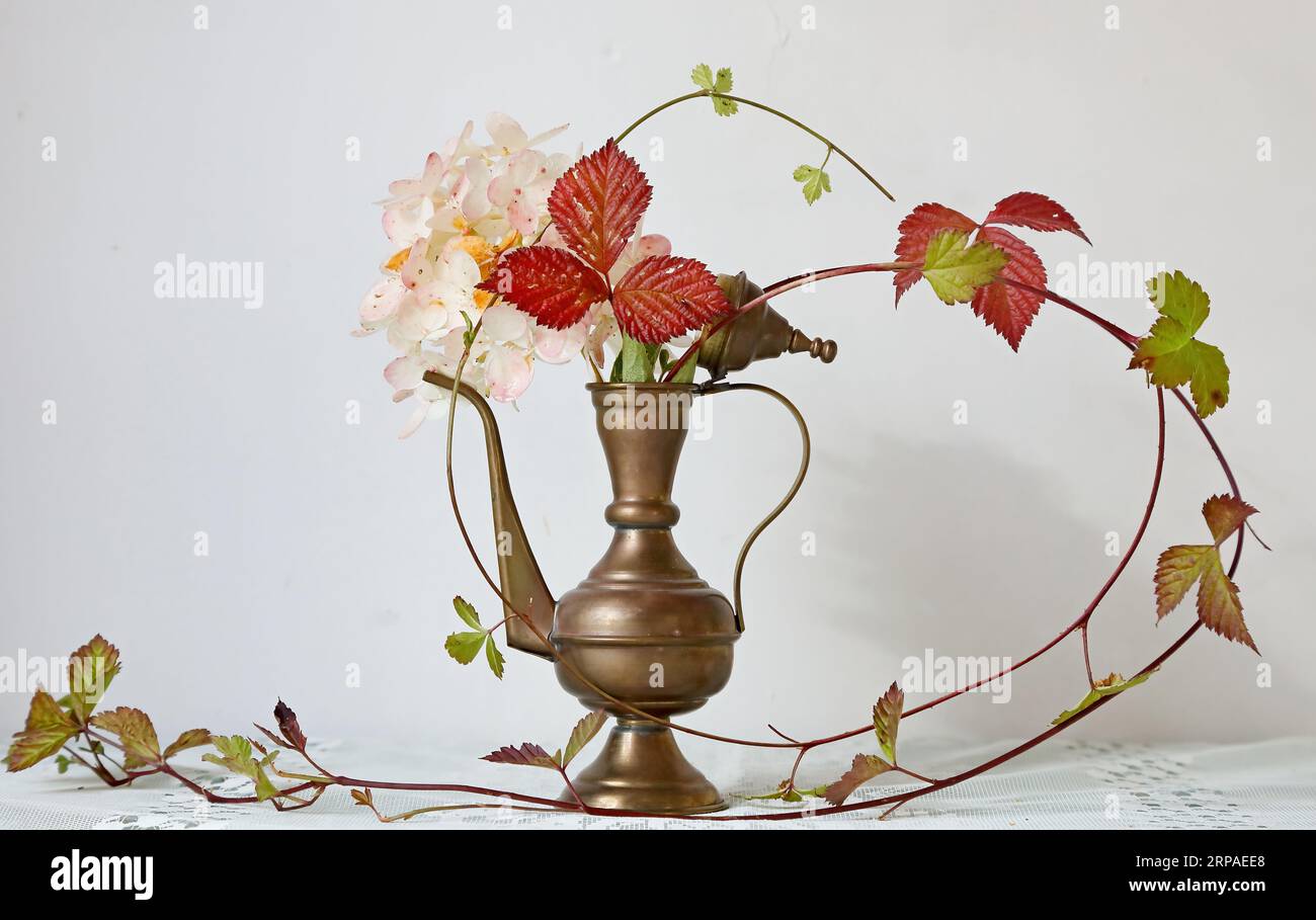 Hydrangea and stone bramble arrangement Stock Photo