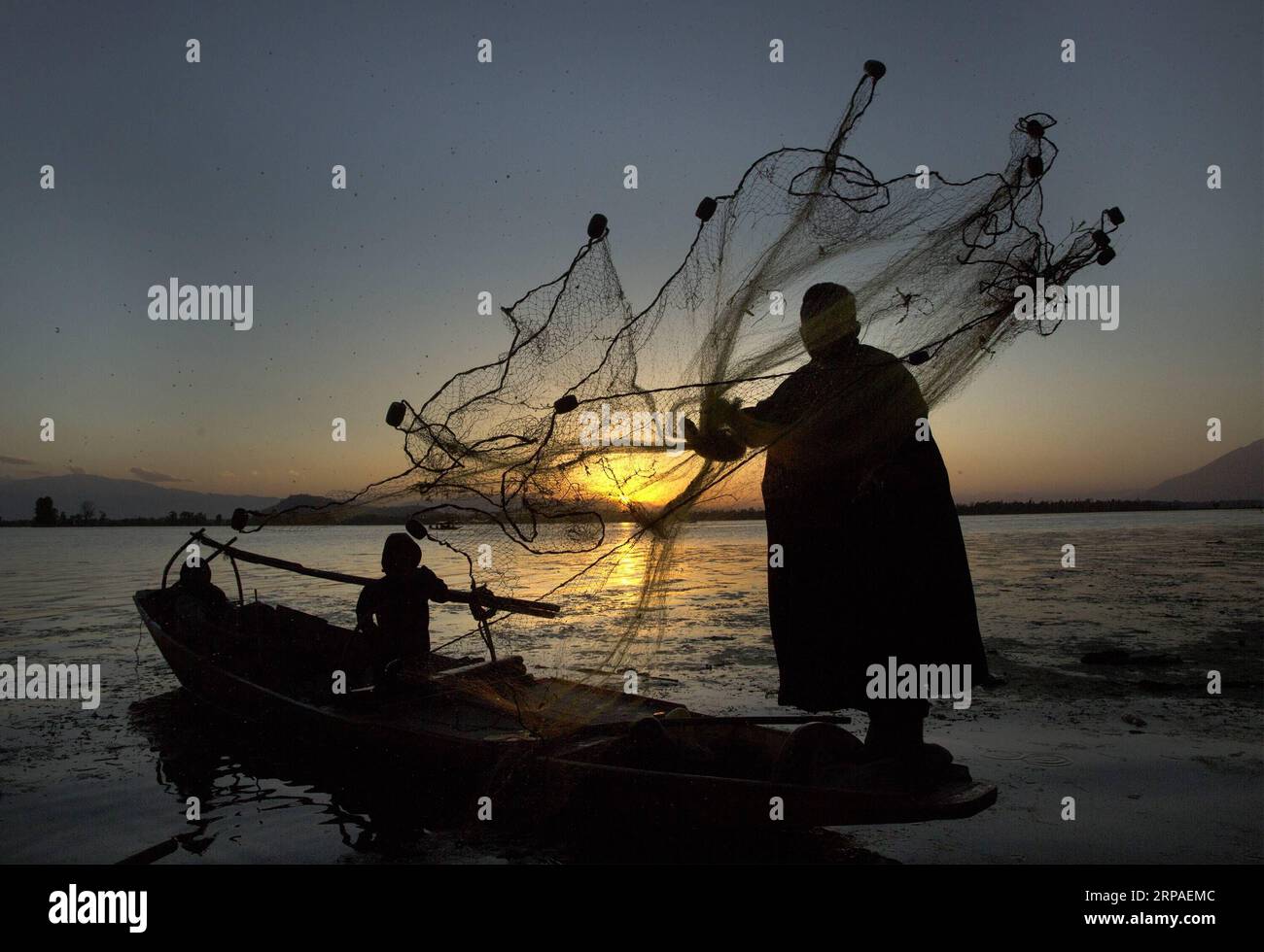 A fisherman casts his net in Dal Lake on a cloudy evening in