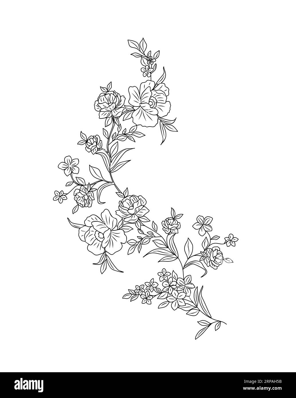 Wild flowers and plants vector botanical line art Stock Vector Image ...
