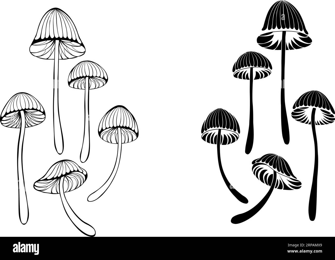 Set of silhouette and contour, artistically drawn, hallucinogenic mushrooms Psilobe cubensis on  white background. Mushrooms toadstools. Stock Vector
