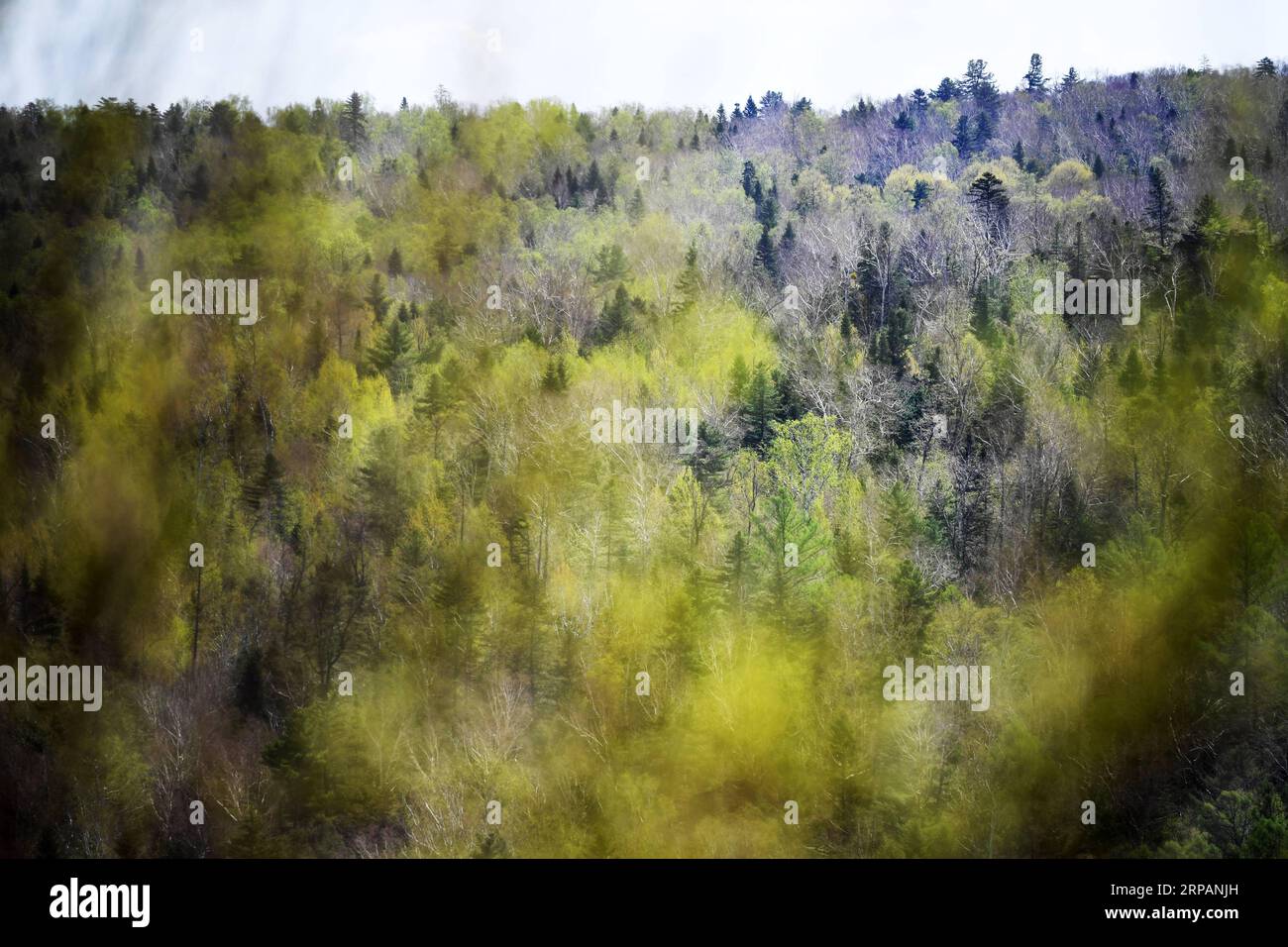 Lesser Khingan Lesser khingan scenery hi-res stock photography and images - Alamy