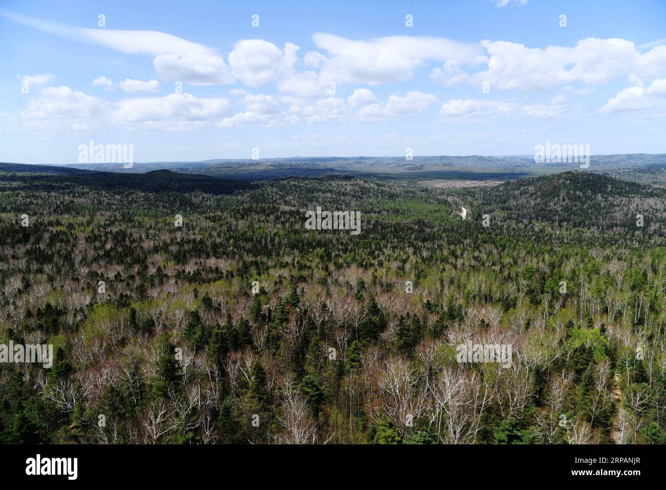 Lesser Khingan Lesser khingan scenery hi-res stock photography and images - Alamy