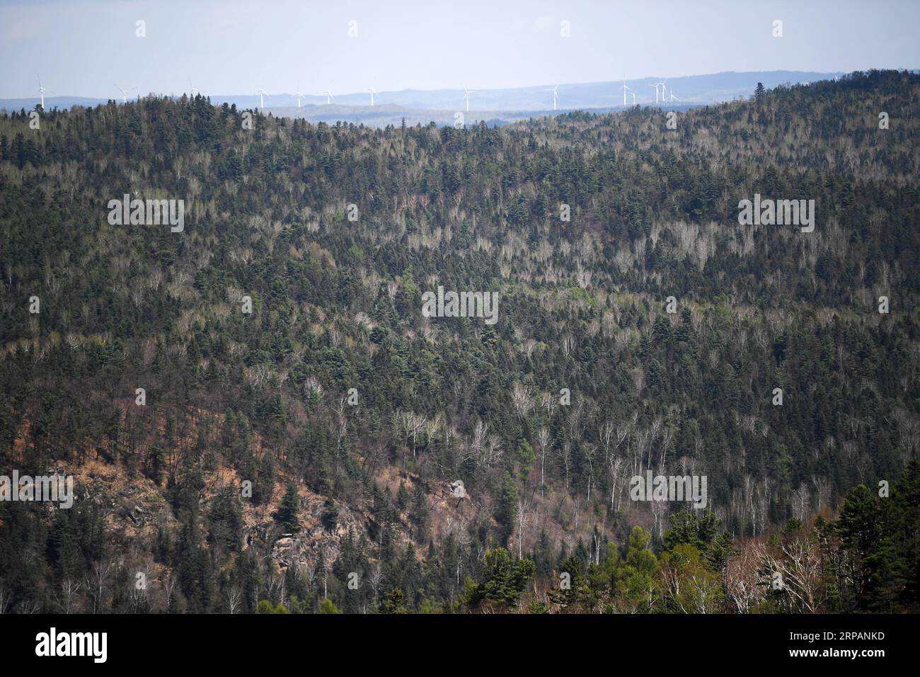 Lesser Khingan Lesser khingan scenery hi-res stock photography and images - Alamy