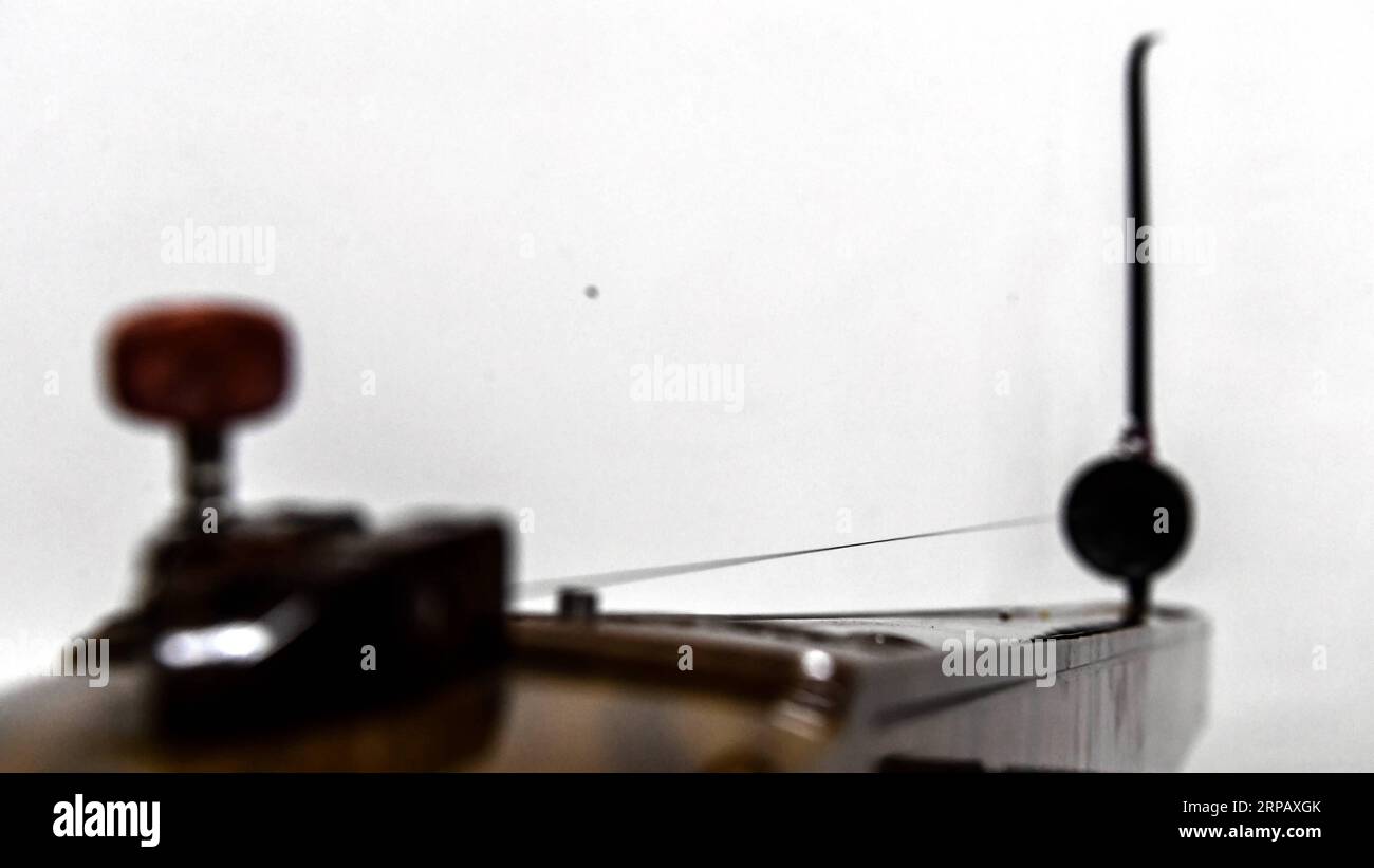 A 21 stringed hi-res stock photography and images - Alamy