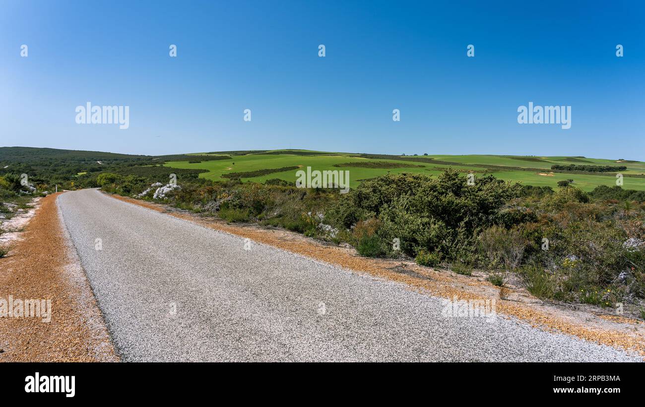 Road through the Lesueur National Park, WA, Australia Stock Photo