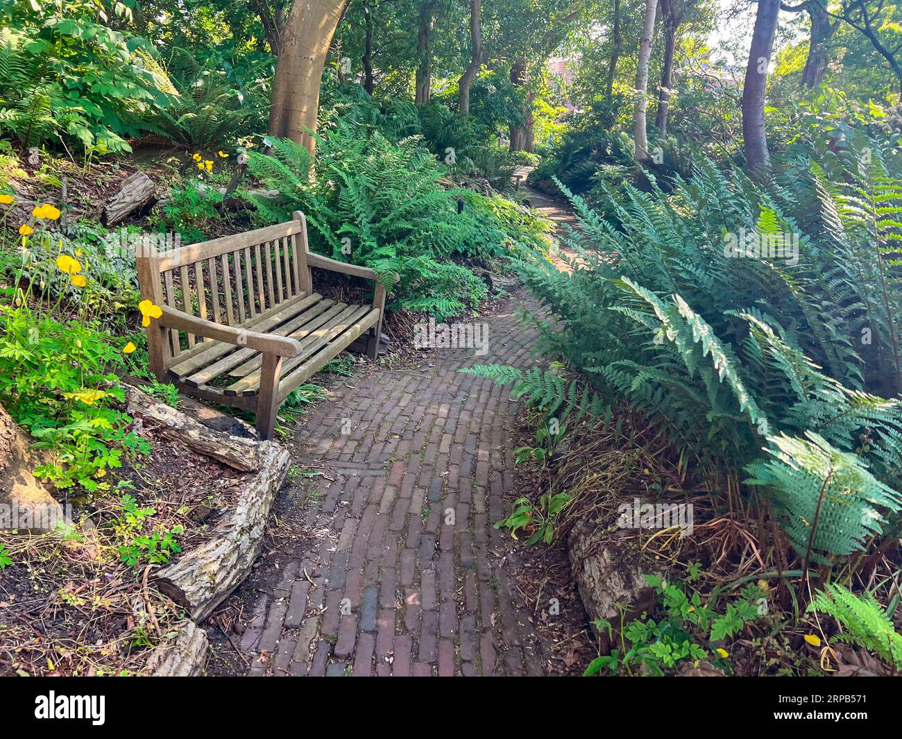 Wooden bench near pathway hi-res stock photography and images - Alamy