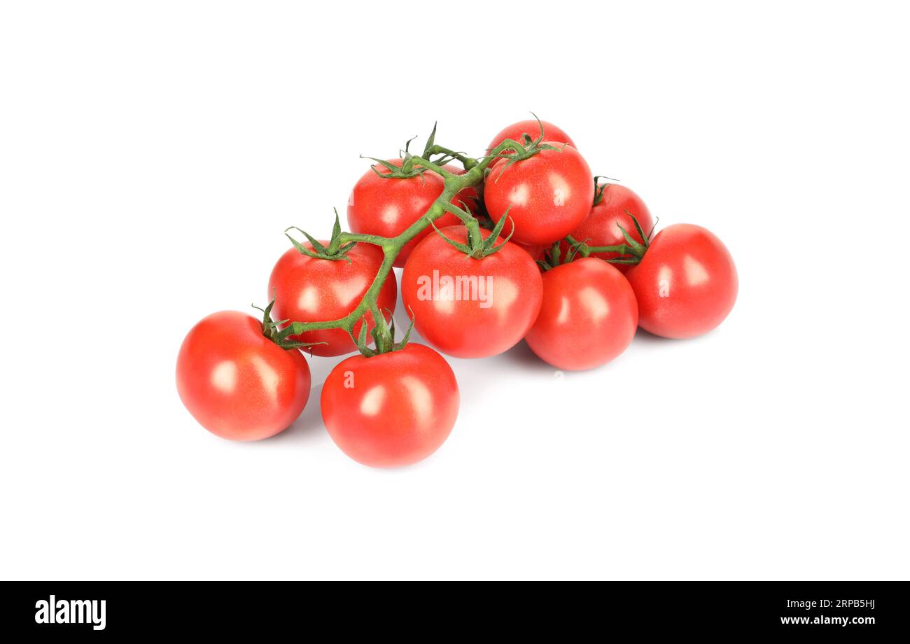 Branch of red ripe cherry tomatoes isolated on white Stock Photo - Alamy