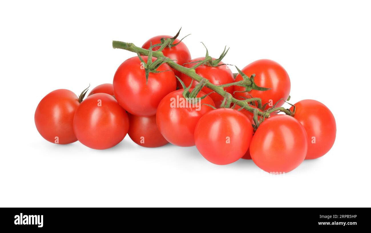 Branch of red ripe cherry tomatoes isolated on white Stock Photo - Alamy