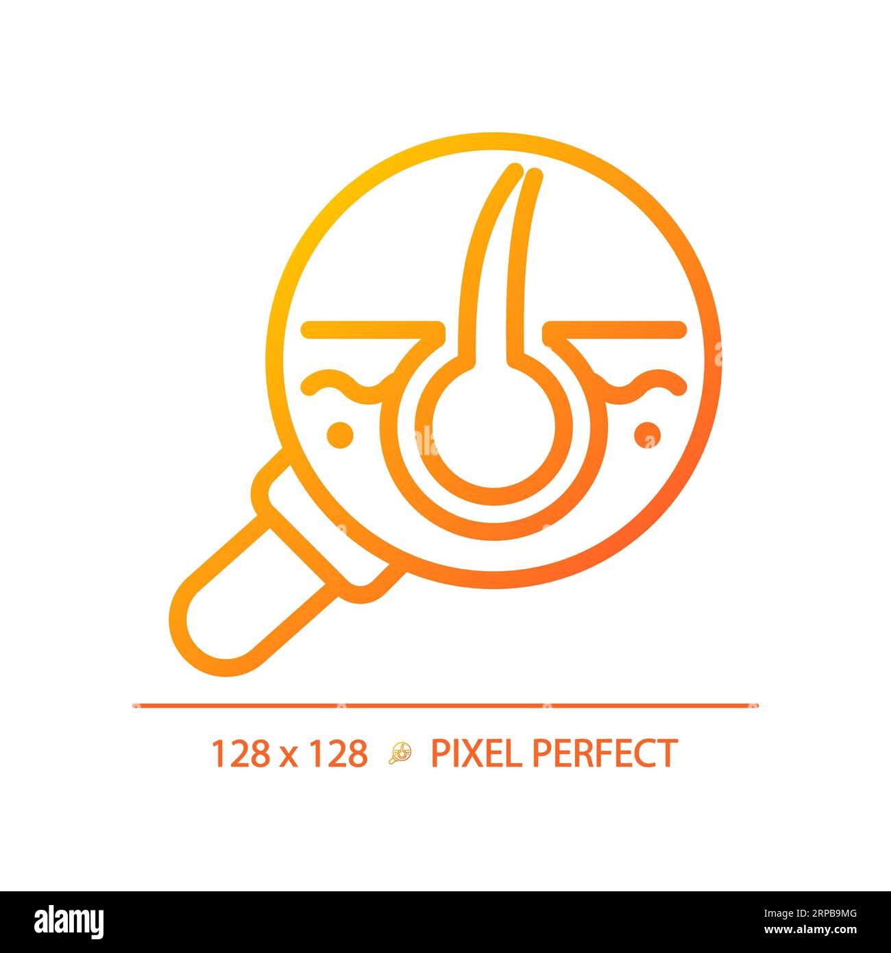 2D magnifying follicle thin linear gradient icon Stock Vector