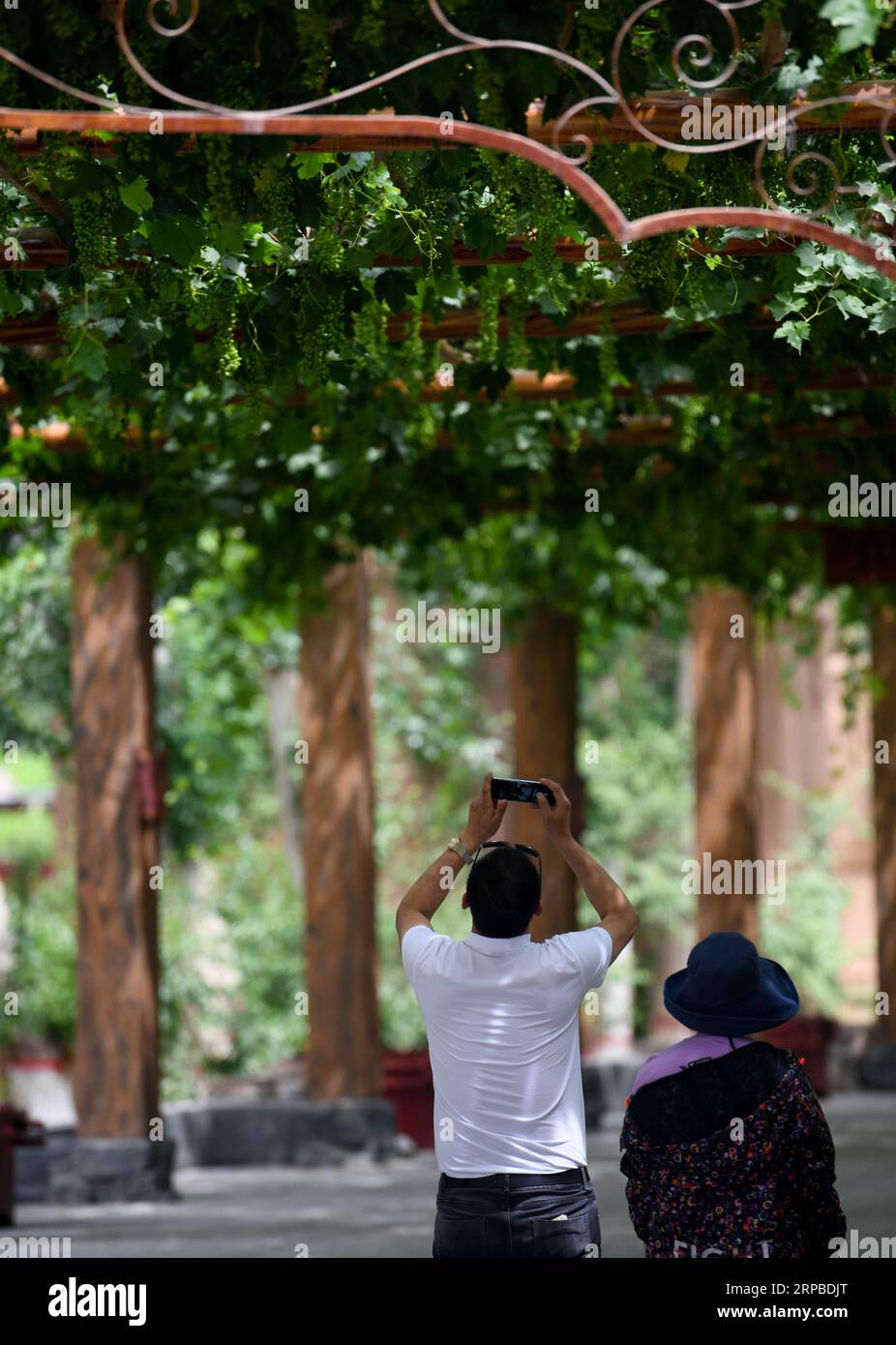 (190606) -- TURPAN, June 6, 2019 (Xinhua) -- Visitors take pictures at the scenic spot of the Grape Valley in Turpan, northwest China s Xinjiang Uygur Autonomous Region, June 4, 2019. (Xinhua/Zhao Ge) CHINA-XINJIANG-TURPAN-GRAPE VALLEY (CN) PUBLICATIONxNOTxINxCHN Stock Photo