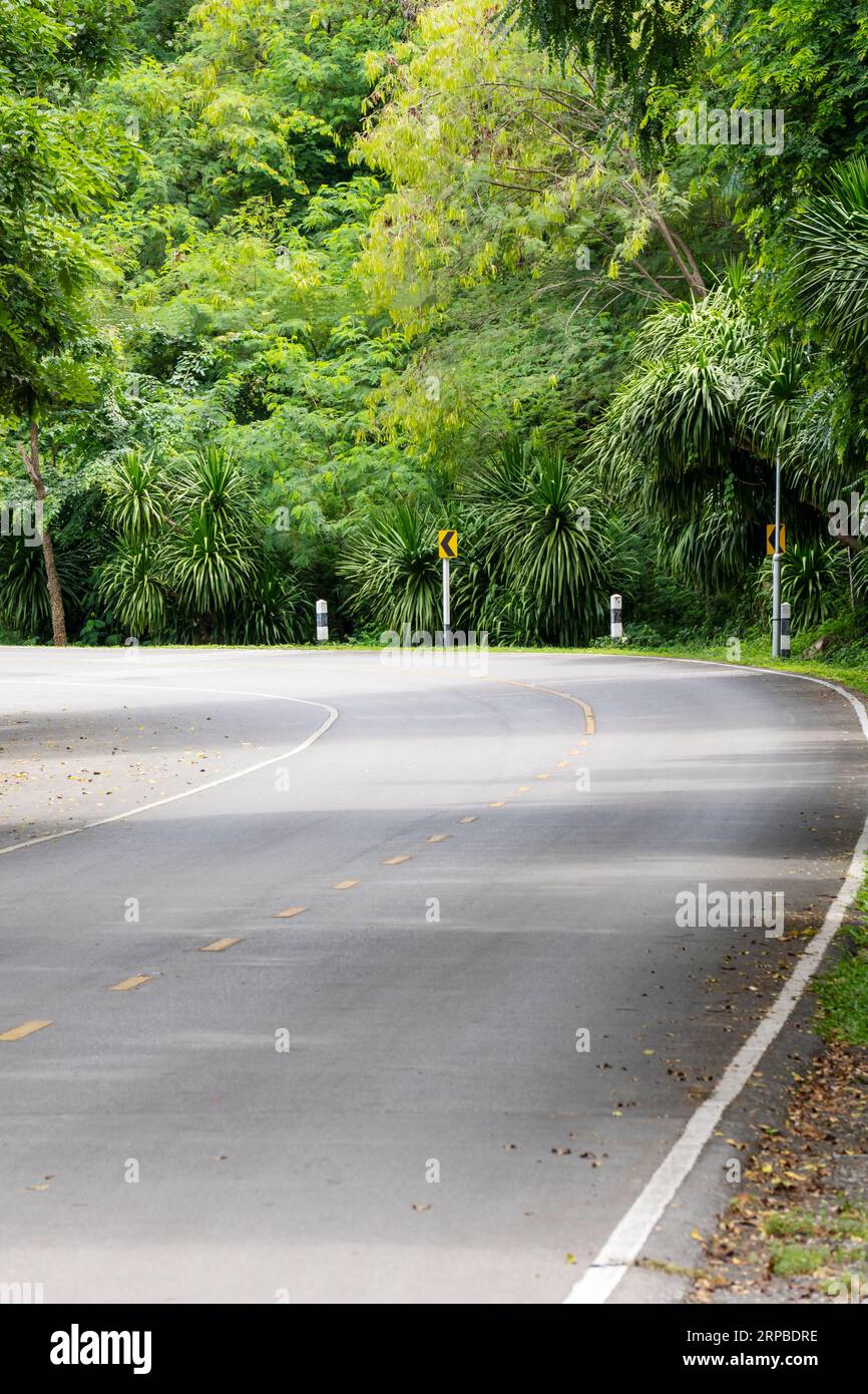 A long bendy curved road winding through overhanging trees, hazard warning lines at the centre of the roadway and bordered Stock Photo