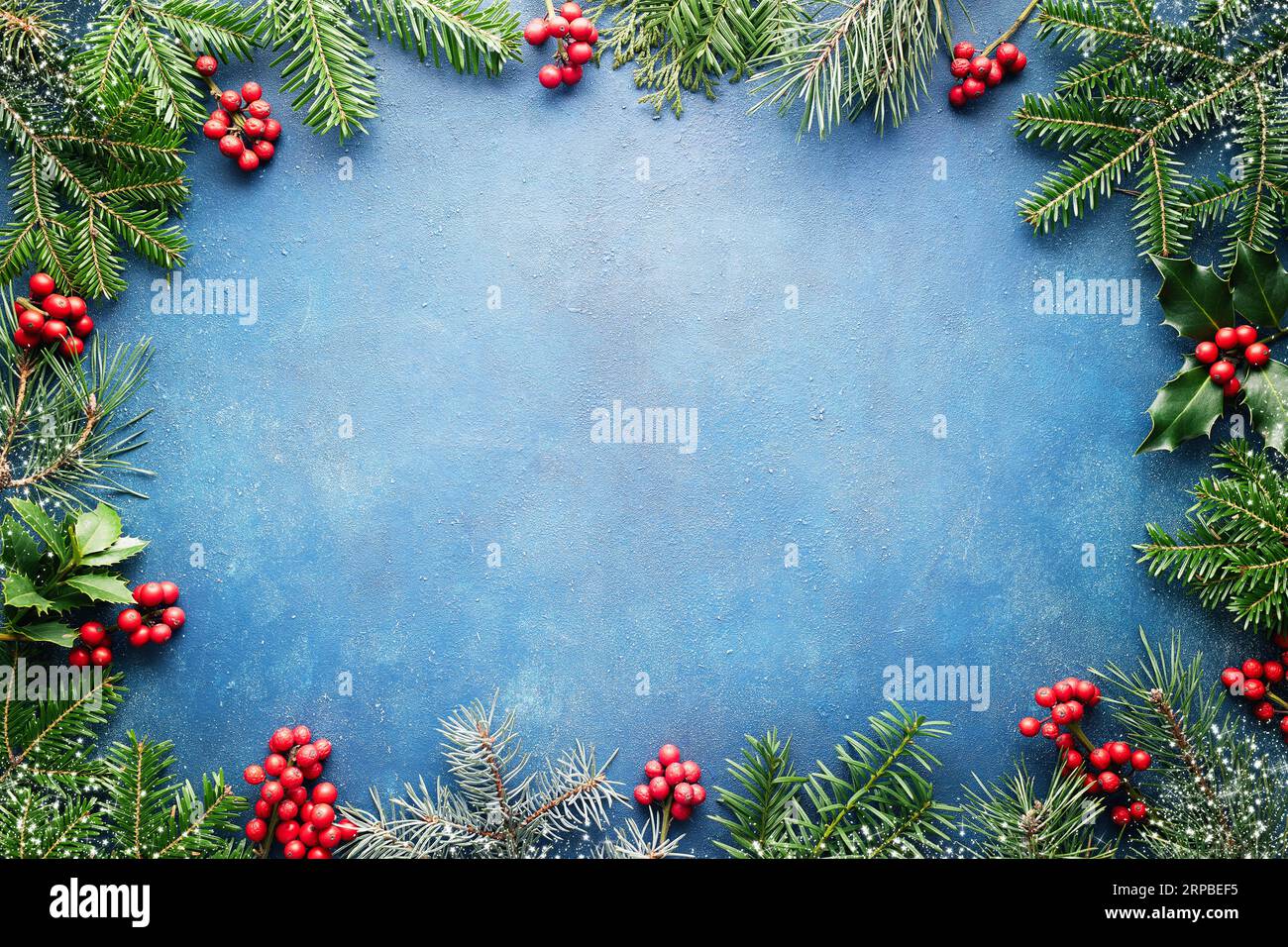 Christmas background with fir tree and holly berries with copy space ...