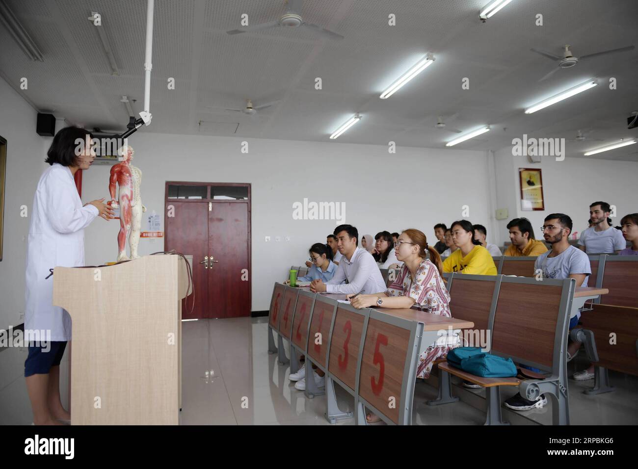 Acupuncture teacher hi-res stock photography and images - Alamy