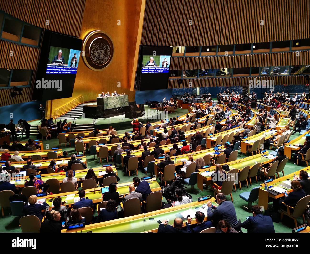 (190611) -- UNITED NATIONS, June 11, 2019 -- Photo taken on June 11, 2019 shows the 12th Session of the Conference of States Parties to the Convention on the Rights of Persons with Disabilities at the UN headquarters in New York. The acting chair of Committee on the Rights of Persons with Disabilities said on Tuesday that due to cash flow difficulties United Nations is facing, sessions of six of the ten UN human rights treaty bodies will be cancelled. ) UN-CONFERENCE-RIGHTS OF PERSONS WITH DISABILITIES LixMuzi PUBLICATIONxNOTxINxCHN Stock Photo