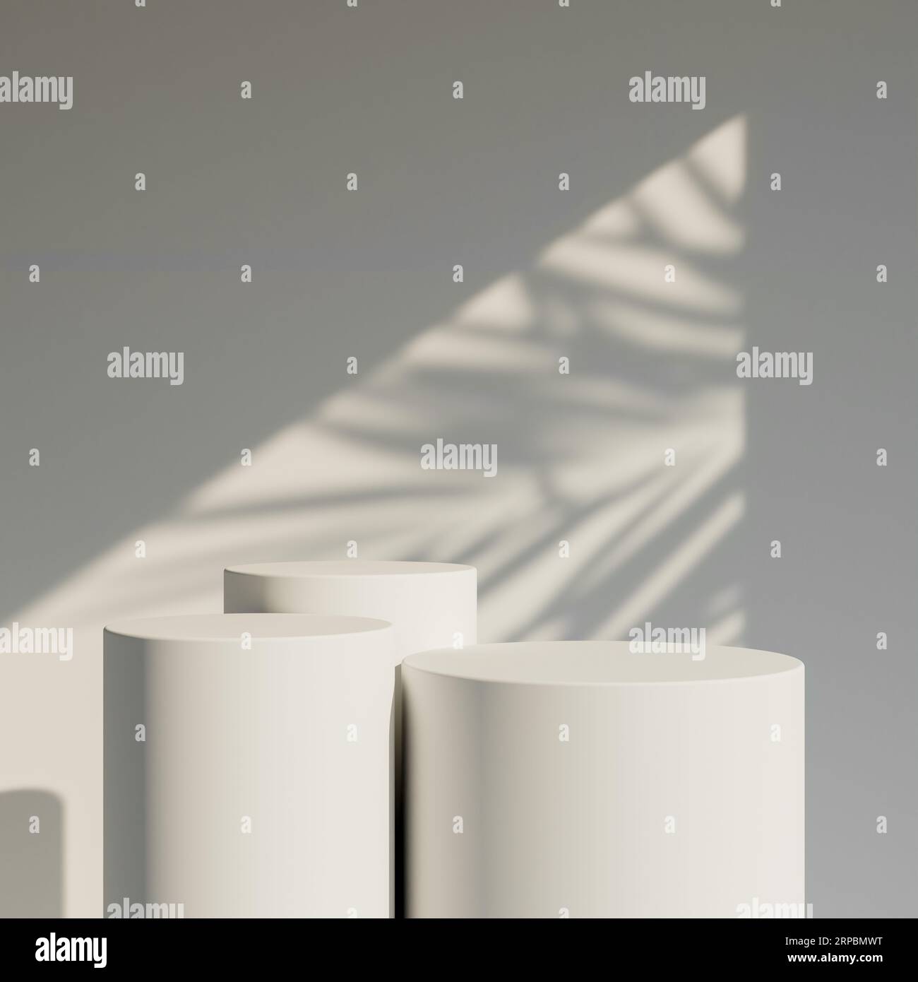 3D rendering of product display podium stand with shadow nature leaves ...