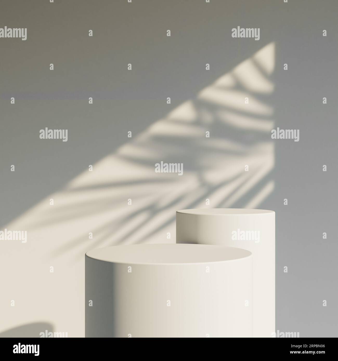 3D rendering of product display podium stand with shadow nature leaves ...