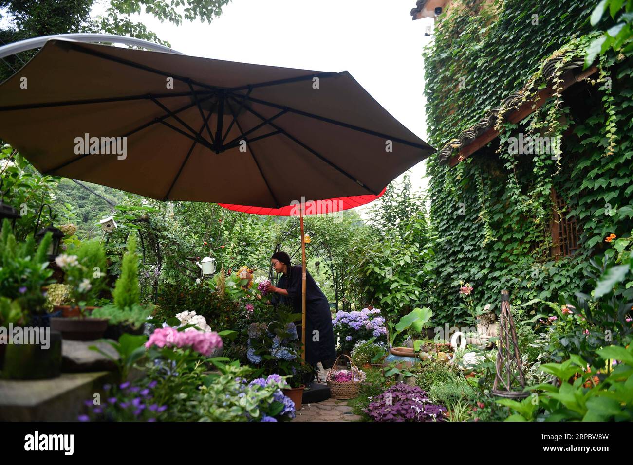 (190616) -- TONGLU, June 16, 2019 (Xinhua) -- A homestay owner takes care of a garden in Qinglongwu of Tonglu County, east China s Zhejiang Province, June 16, 2019. In recent years, Tonglu County has been rolling out measures to develope rural tourism industry. Qinglongwu was transformed into a base of rural guesthouses for tourists to experience the countryside life. (Xinhua/Huang Zongzhi) CHINA-ZHEJIANG-TONGLU-RURAL TOURISM (CN) PUBLICATIONxNOTxINxCHN Stock Photo