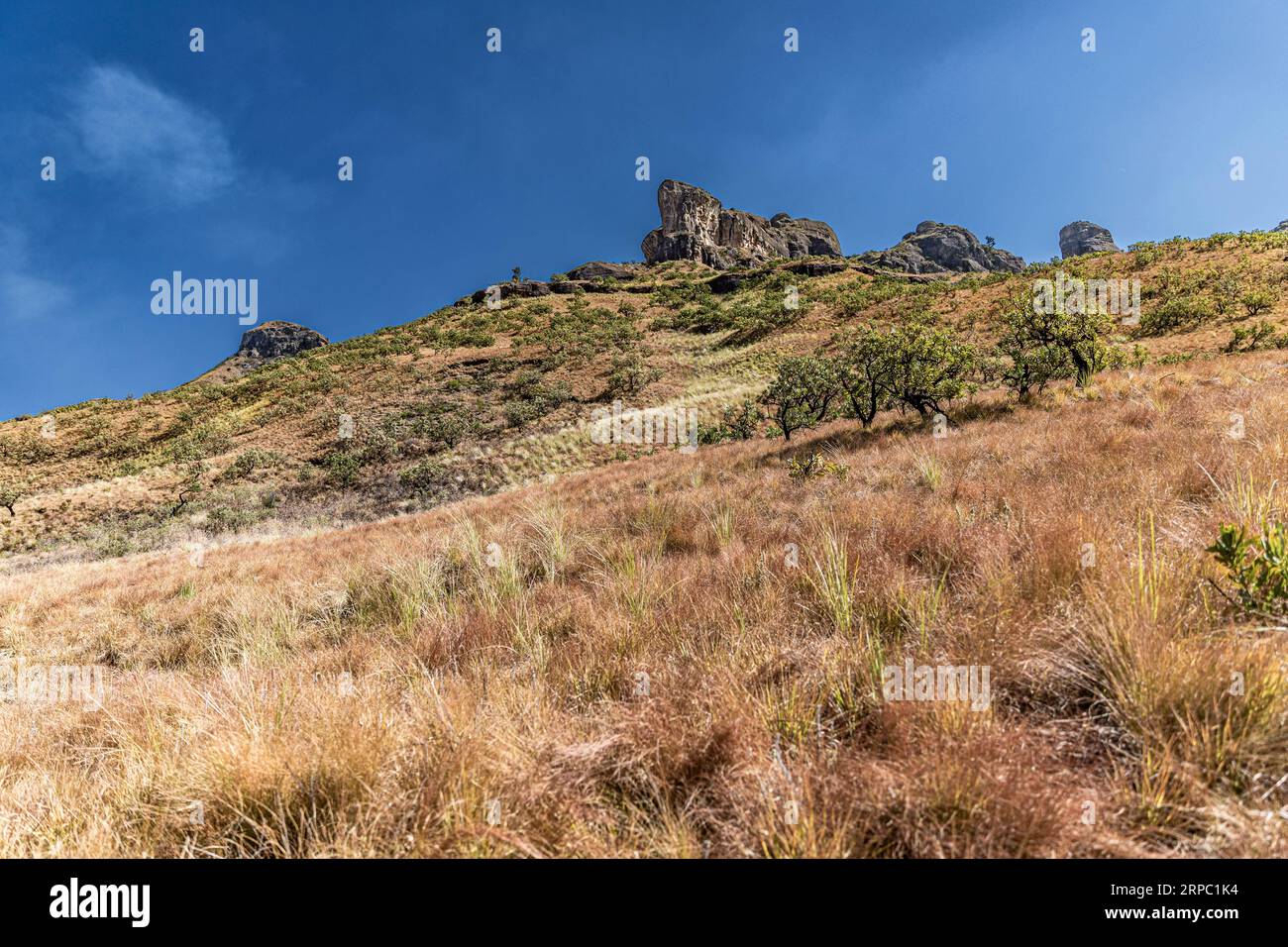 Mountain landscape in Drakensberg, South Africa Stock Photo