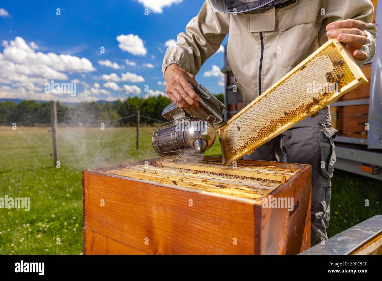 Apiary hi-res stock photography and images - Alamy