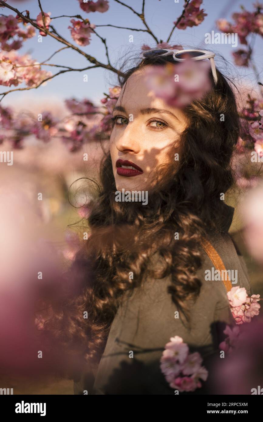 Portrait of a young woman in cherry blossom Stock Photo - Alamy