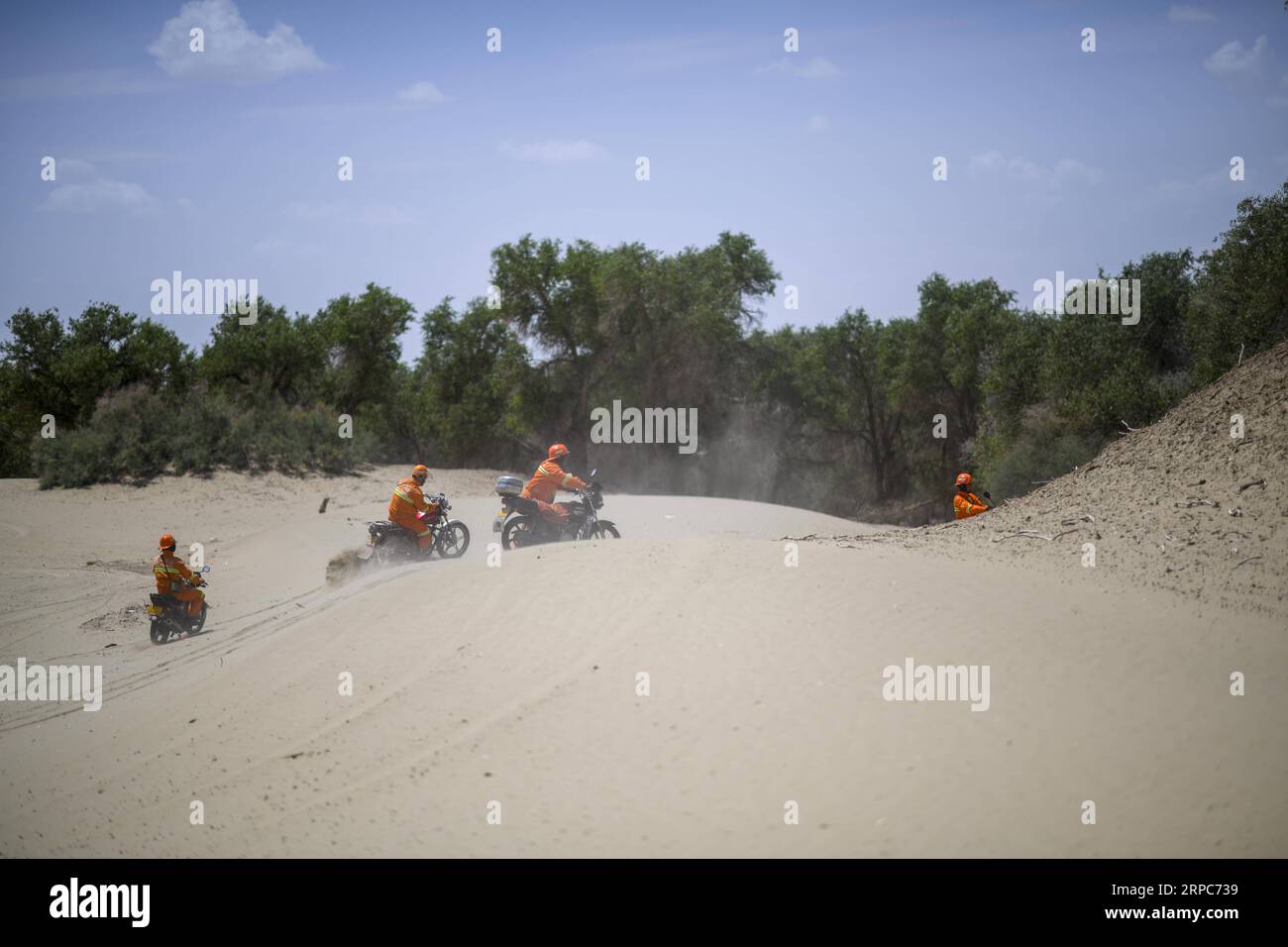 (190626) -- YULI, June 26, 2019 -- Firefighters ride motorcycles at Lop Nur national wetland park in Yuli County, northwest China s Xinjiang Uygur Autonomous Region, on June 19, 2019. Heatwaves sweep the Tarim Basin every summer, and the temperature reached over 45 degrees Celsius here in this June. Situated at the border of Tarim Basin,Yuli County is exposed to the threat of forest fires. In order to prevent this risk, a batch of selected firefighters have done their firefighting work for years. They shuttle in wide expanse of desert poplars to protect the area. ) CHINA-XINJIANG-YULI-FOREST G Stock Photo