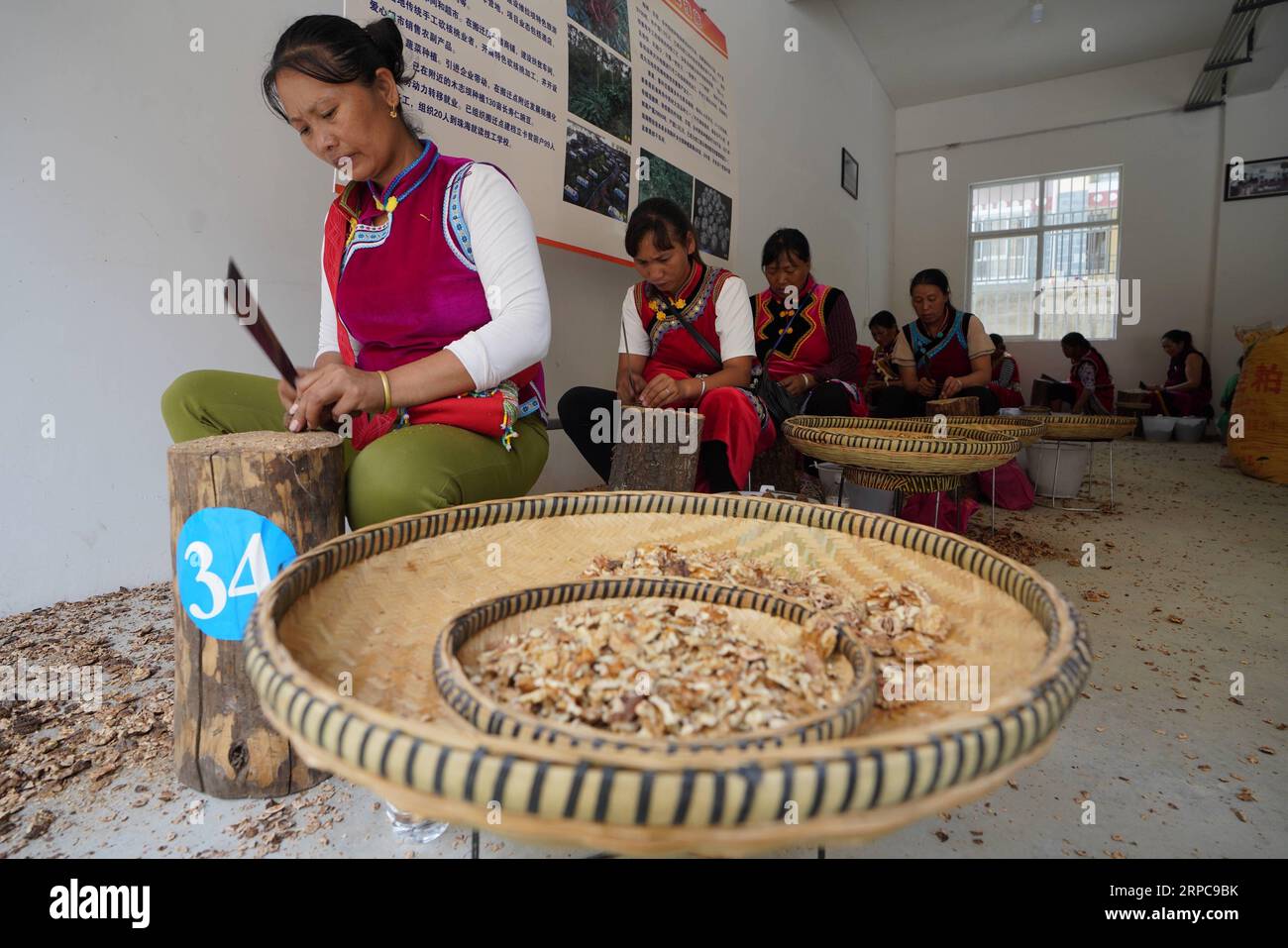 (190628) -- KUNMING, June 28, 2019 -- People of Lisu ethnic group peel walnuts at a workshop of a resettlement site in Daxingdi Town, Lisu Autonomous Prefecture of Nujiang, southwest China s Yunnan Province, June 24, 2019. Lisu people have been relocated to a new community from unlivable mountain areas thanks to the poverty alleviation policy by local government. Zhiguo minorities are special members of China s 56 ethnic groups. The term Zhiguo refers to minority groups who, before modernization, had lived in relative isolation and skipped the transition period associated with feudal monarchy. Stock Photo