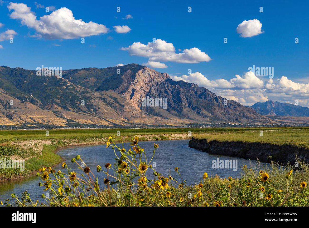 Willard Mountain with its iconic light-colored fault belt as seen from the Refuge Road of Bear River Migratory Bird Refuge, Box Elder County,Utah, USA. Stock Photo