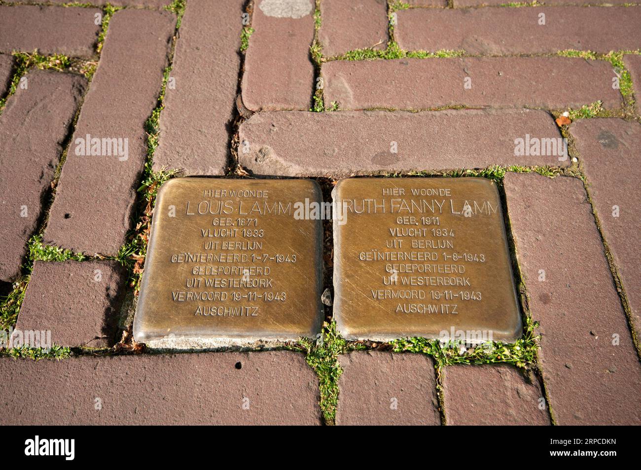 Stolpersteine, commemorative brass cobblestones for victims of Shoah in Amsterdam, Netherlands Stock Photo