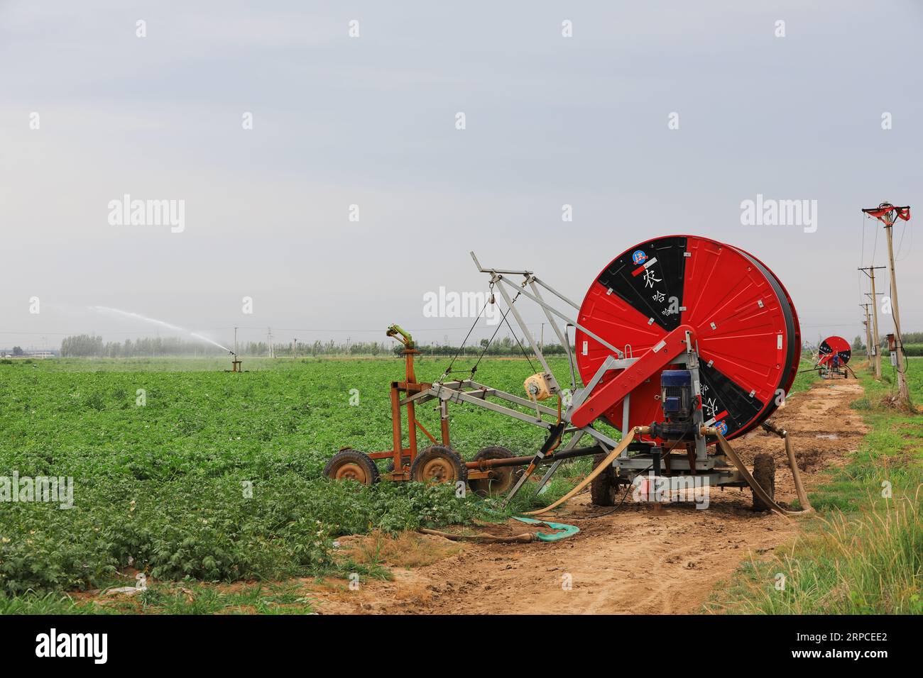 Irrigation Facilities Sprinkler irrigation facilities in hi-res stock photography and images ...
