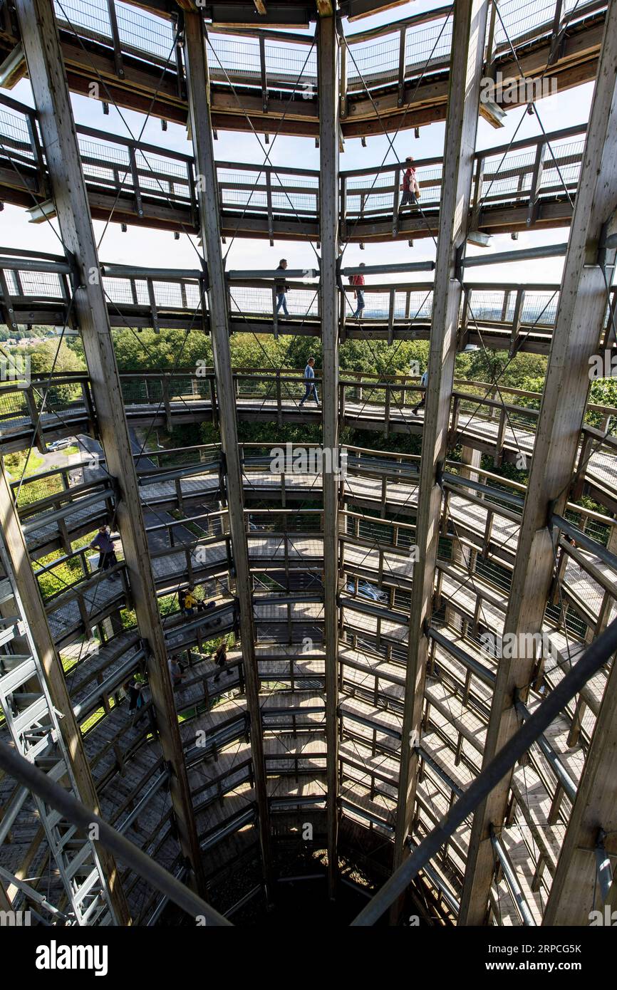 visitors walking inside the 40-meter-high observation tower, part of the tree-top walk at the Panarbora Nature Adventure Park in Waldbroel, Bergisches Stock Photo