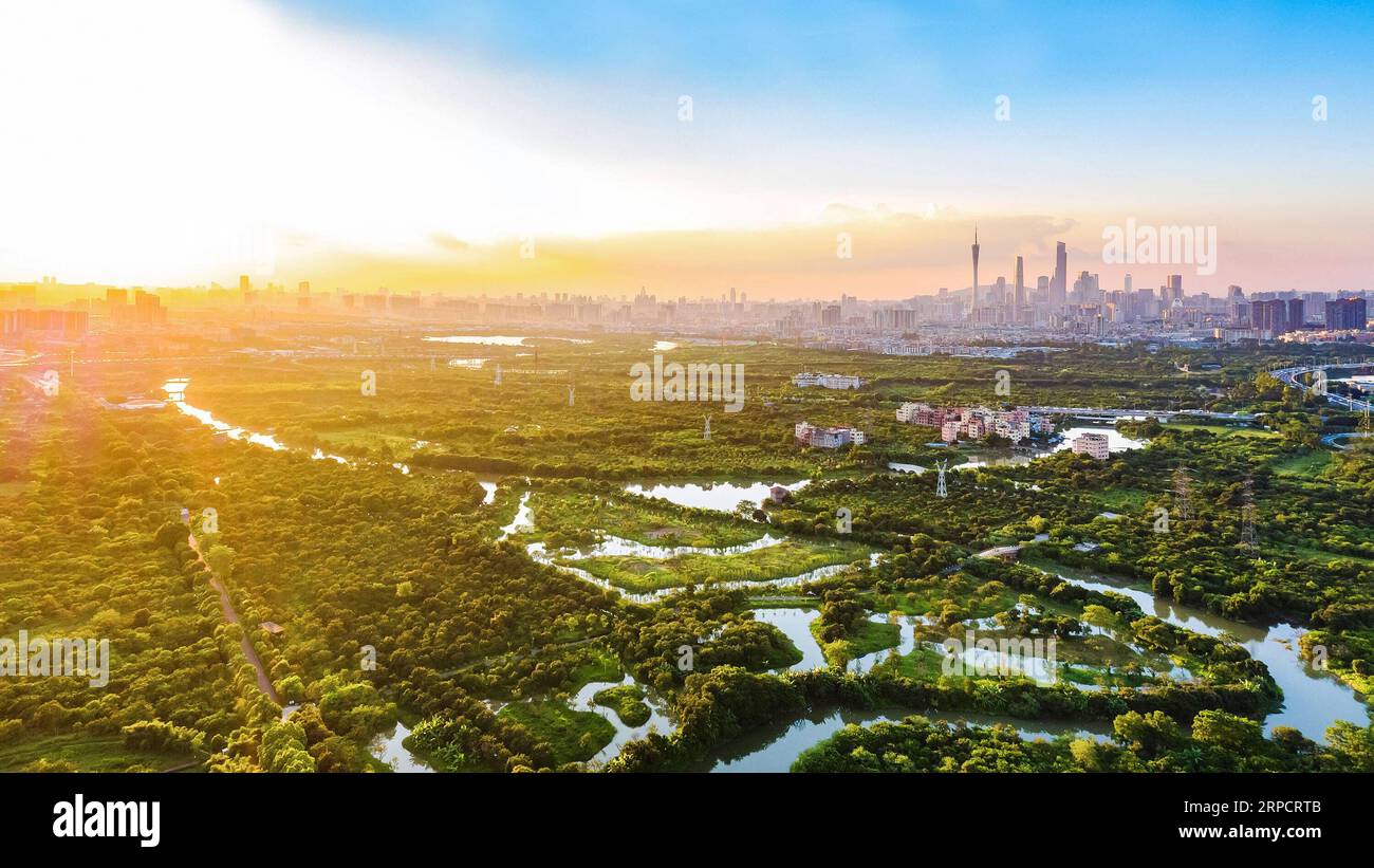 (190712) -- BEIJING, July 12, 2019 -- Aerial photo taken on July 16, 2018 shows a panoramic view at the Haizhu wetland in Guangzhou, capital of south China s Guangdong Province. Located in south China, Guangdong Province faces the South China Sea and borders Hunan and Jiangxi provinces to the north. It boasts the well-known Pearl River Delta, which is composed of three upstream rivers and a large number of islands. Due to the climate, Guangdong is famous for a diversified ecological system and environment. In recent years, by upholding the principle of green development, Guangdong has made rem Stock Photo