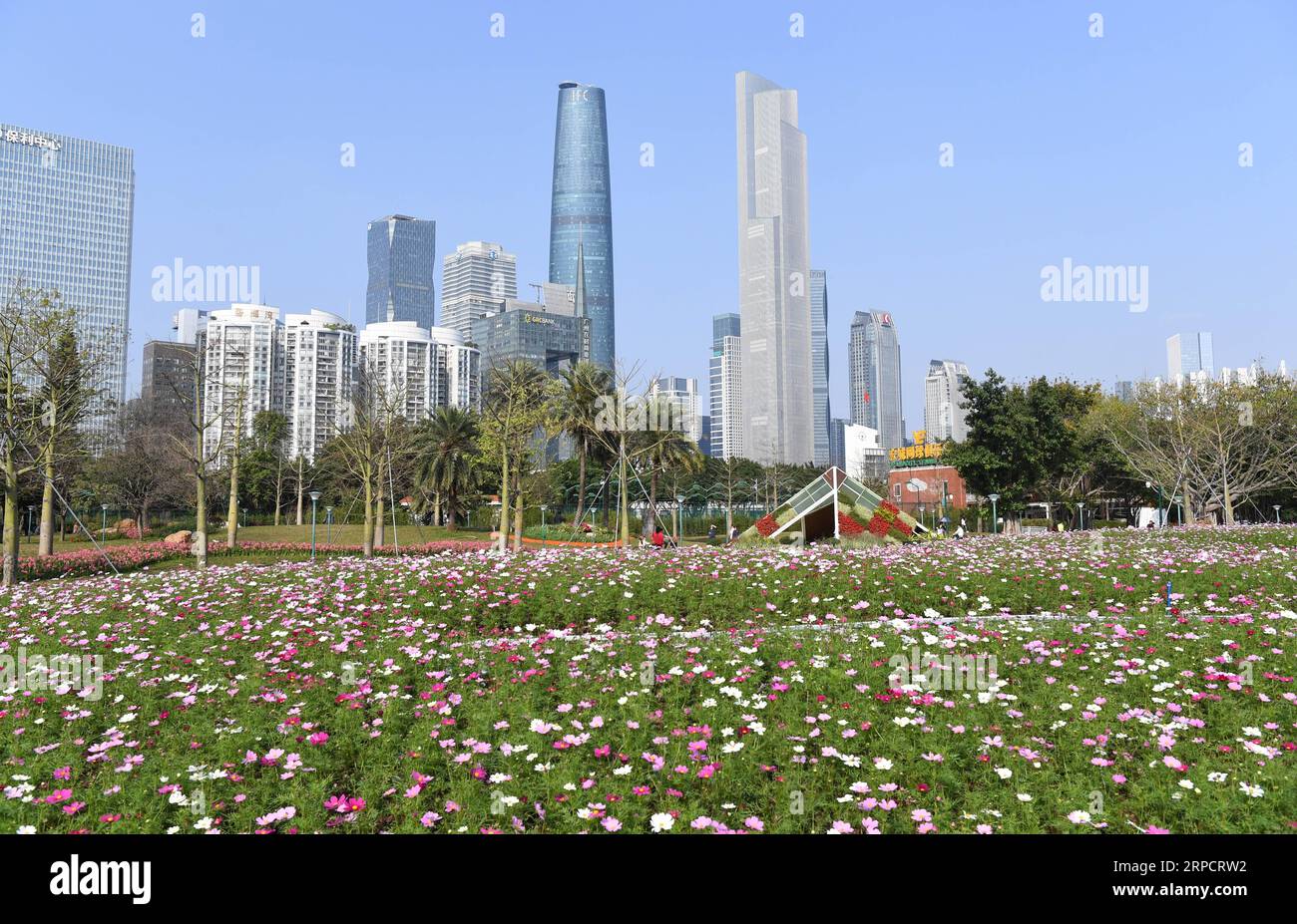 (190712) -- BEIJING, July 12, 2019 -- Photo taken on March 3, 2019 shows Zhujiang New Town in Guangzhou, capital of south China s Guangdong Province. Located in south China, Guangdong Province faces the South China Sea and borders Hunan and Jiangxi provinces to the north. It boasts the well-known Pearl River Delta, which is composed of three upstream rivers and a large number of islands. Due to the climate, Guangdong is famous for a diversified ecological system and environment. In recent years, by upholding the principle of green development, Guangdong has made remarkable achievements in its Stock Photo