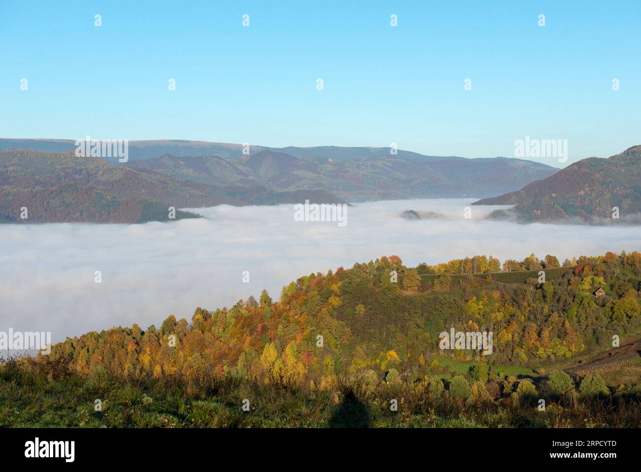 Mist in the mountains in the autumn. Colorful trees Stock Photo