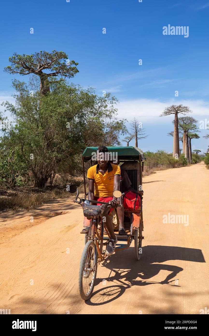 Baob hi-res stock photography and images - Alamy