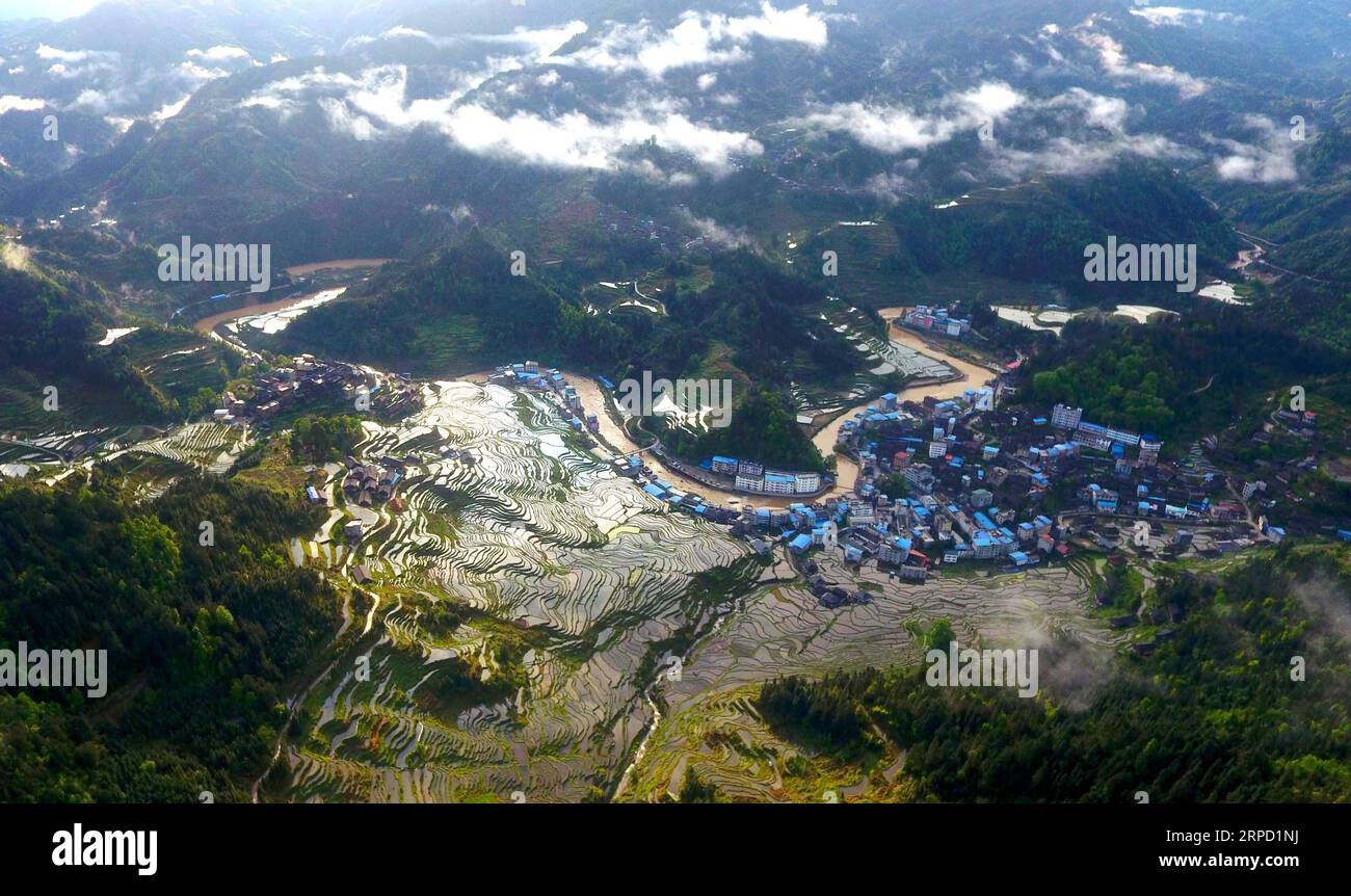 (190719) -- BEIJING, July 19, 2019 -- Aerial photo taken on April 16, 2019 shows terraced fields in Gandong Village of Rongshui Miao Autonomous County, south China s Guangxi Zhuang Autonomous Region. Located in south China, Guangxi boasts high forest coverage of over 62 percent and various landforms including its picturesque karst mountains. In recent years, following the principle of building ecological civilization, Guangxi authorities uphold green development in agricultural production and poverty alleviation. Meanwhile, the authorities take various measures to improve rural environment inc Stock Photo