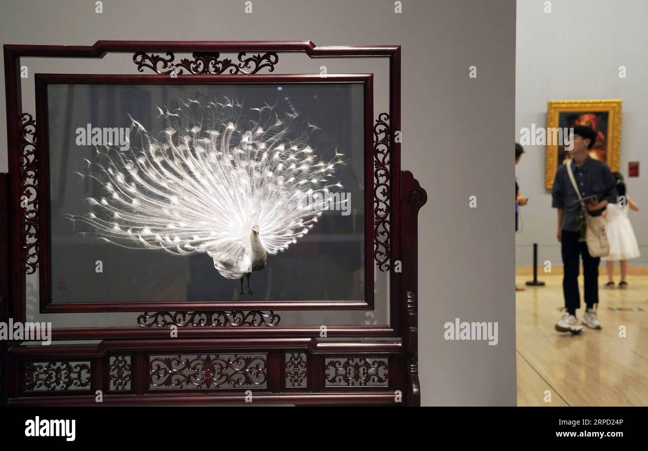 (190719) -- BEIJING, July 19, 2019 -- People visit Splendid China -- Suzhou Embroidery Elaborate Art Works Exhibition at the National Art Museum of China (NAMOC) in Beijing, capital of China, July 19, 2019. Opening here on Friday, the exhibition displays a rich collection of works by China s Suzhou embroidery masters in the contemporary era. ) CHINA-BEIJING-ART-SUZHOU EMBROIDERY-EXHIBITION (CN) JinxLiangkuai PUBLICATIONxNOTxINxCHN Stock Photo