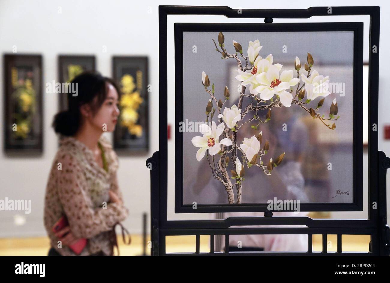 (190719) -- BEIJING, July 19, 2019 -- People look at an exhibit during Splendid China -- Suzhou Embroidery Elaborate Art Works Exhibition at the National Art Museum of China (NAMOC) in Beijing, capital of China, July 19, 2019. Opening here on Friday, the exhibition displays a rich collection of works by China s Suzhou embroidery masters in the contemporary era. ) CHINA-BEIJING-ART-SUZHOU EMBROIDERY-EXHIBITION (CN) JinxLiangkuai PUBLICATIONxNOTxINxCHN Stock Photo