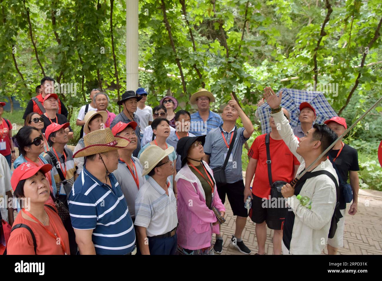 (190720) -- TURPAN, July 20, 2019 -- Tourists visit the Grape Valley scenic area in Turpan, northwest China s Xinjiang Uygur Autonomous Region, July 20, 2019. Turpan has entered its peak tourism season recently. The city saw nearly 8.59 million tourist arrivals in the first half of 2019, up by 91.84 percent over the same period last year. ) CHINA-XINJIANG-TURPAN-TOURISM (CN) DingxLei PUBLICATIONxNOTxINxCHN Stock Photo