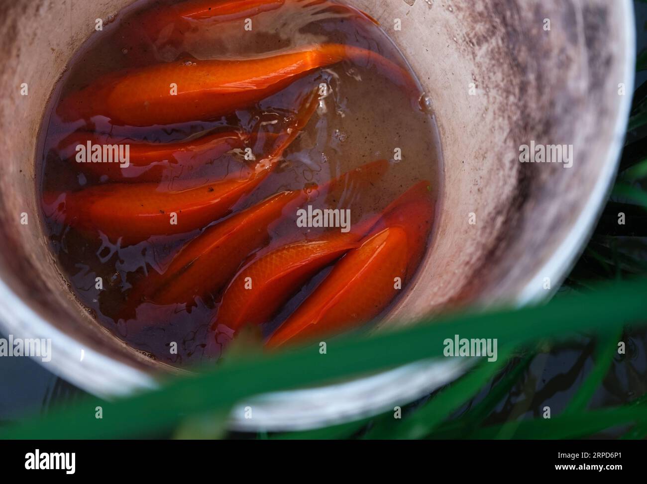 China 1000 yuan hi-res stock photography and images - Alamy