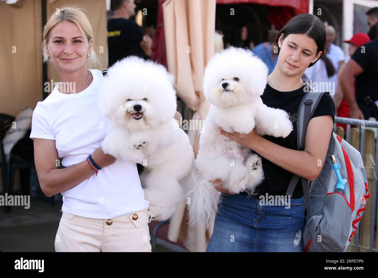(190726) -- SPLIT, July 26, 2019 -- People carry their dogs at the Four Summer Night Dog Shows in Split, Croatia, July 25, 2019. ) CROATIA-SPLIT-SUMMER NIGHT DOG SHOWS MirandaxCikotic PUBLICATIONxNOTxINxCHN Stock Photo