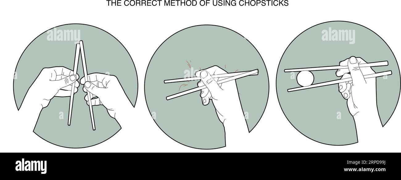 Chopsticks instructions Royalty Free Vector Image Stock Vector Image