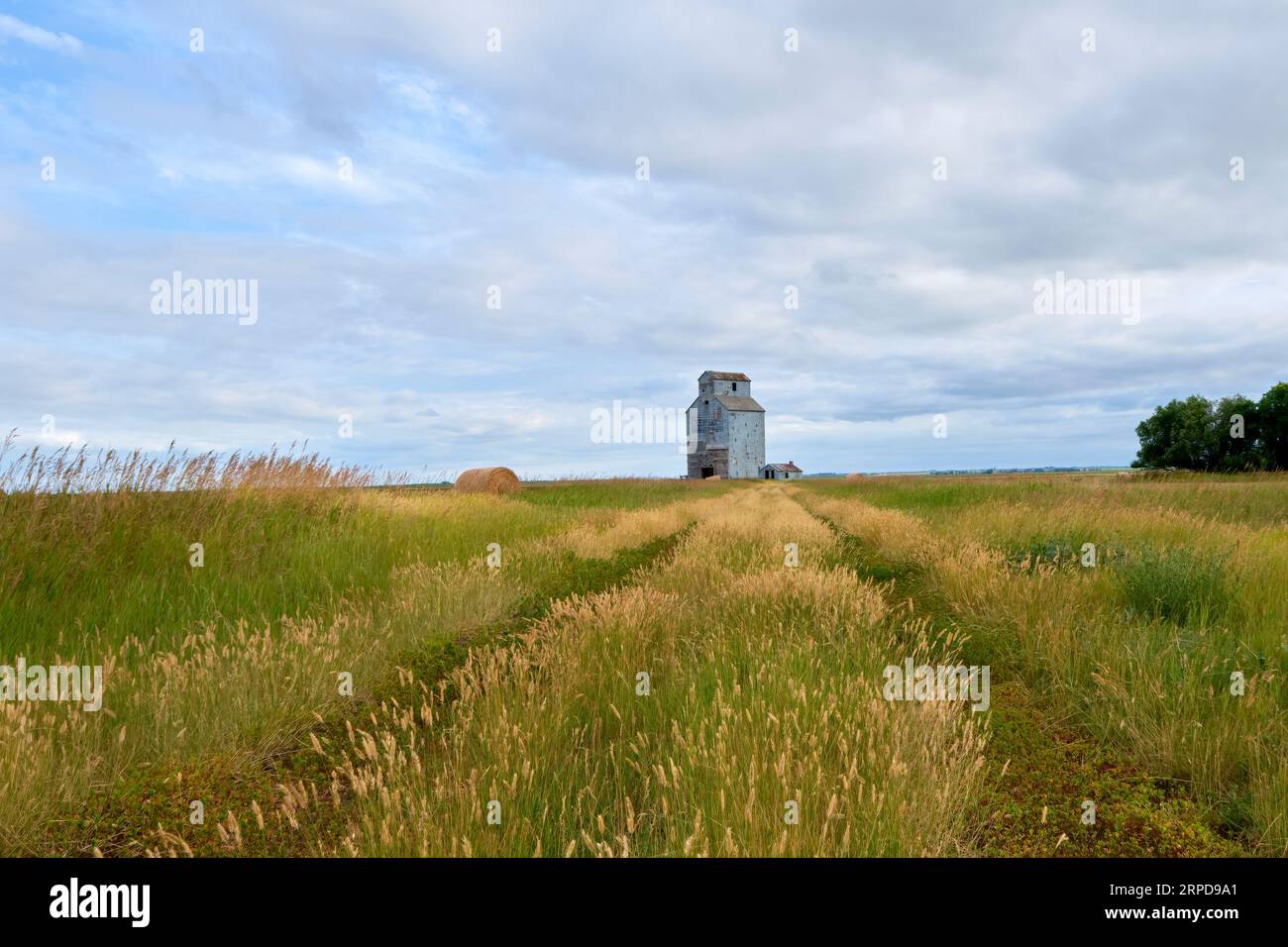Old and weatherd grain elevator at the end of a lane in a farm field in rural Saskatchewan. Stock Photo