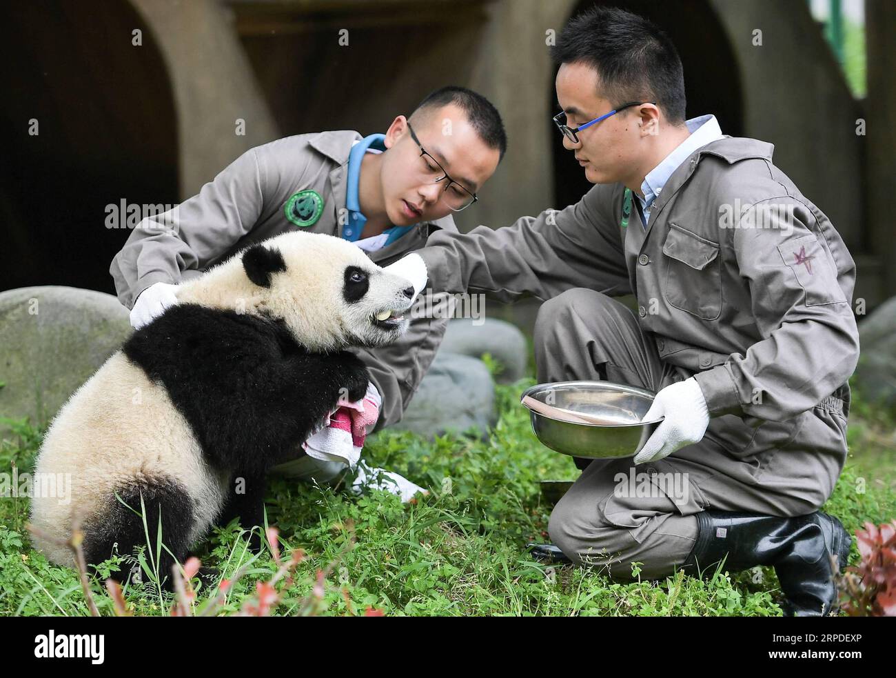 Various habitats hi-res stock photography and images - Alamy