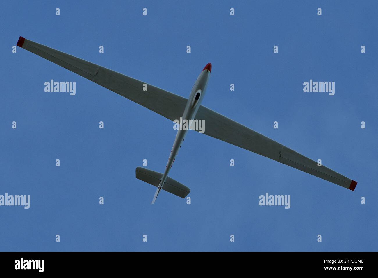 Glider aircraft in flight in gliding flight on a blue sky in the background, Brazil,South America. Bottom view. Stock Photo