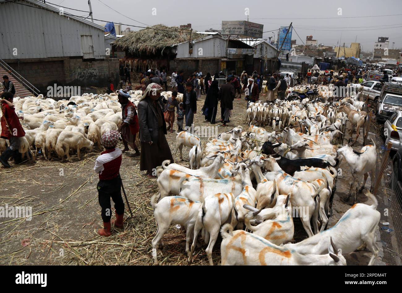 (190807) -- YEMEN, Aug. 7, 2019 (Xinhua) -- Sellers are seen with