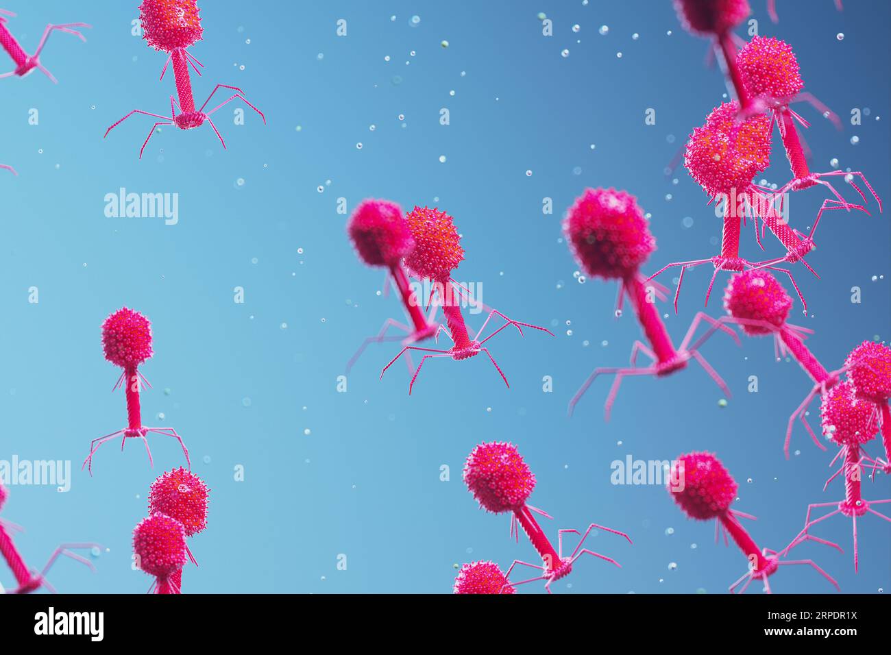 Many bacteriophages or phages floating and slowly moving in the organism. Stock Photo