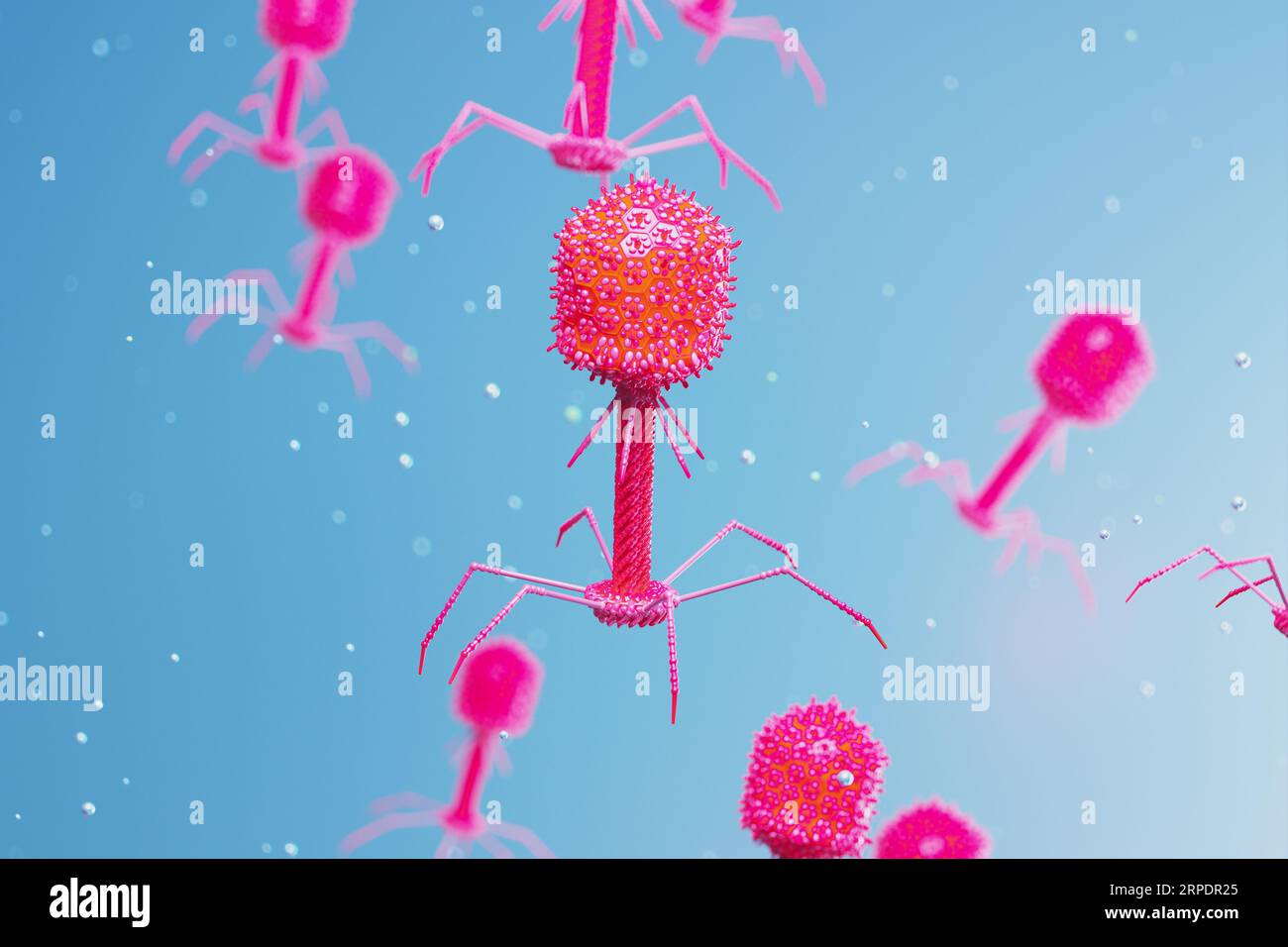 Many bacteriophages or phages floating and slowly moving in the organism. Stock Photo
