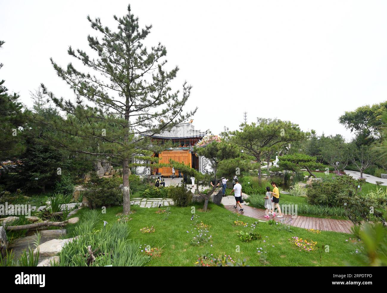 (190812) -- BEIJING, Aug. 12, 2019 -- Tourists visit the Yunnan Garden at the Beijing International Horticultural Exhibition in Beijing, capital of China, Aug. 11, 2019. Yunnan Province, located in southwestern China, is very rich in biodiversity thanks to its advantageous natural conditions of abundant plateau mountains and distinct climates. The forest coverage in Yunnan has reached 60.3 percent, and the province is known as Animal Kingdom and Plant Kingdom . Yunnan set forth the aim of building it into the most beautiful province in China. It has put great efforts in promoting ecological ci Stock Photo