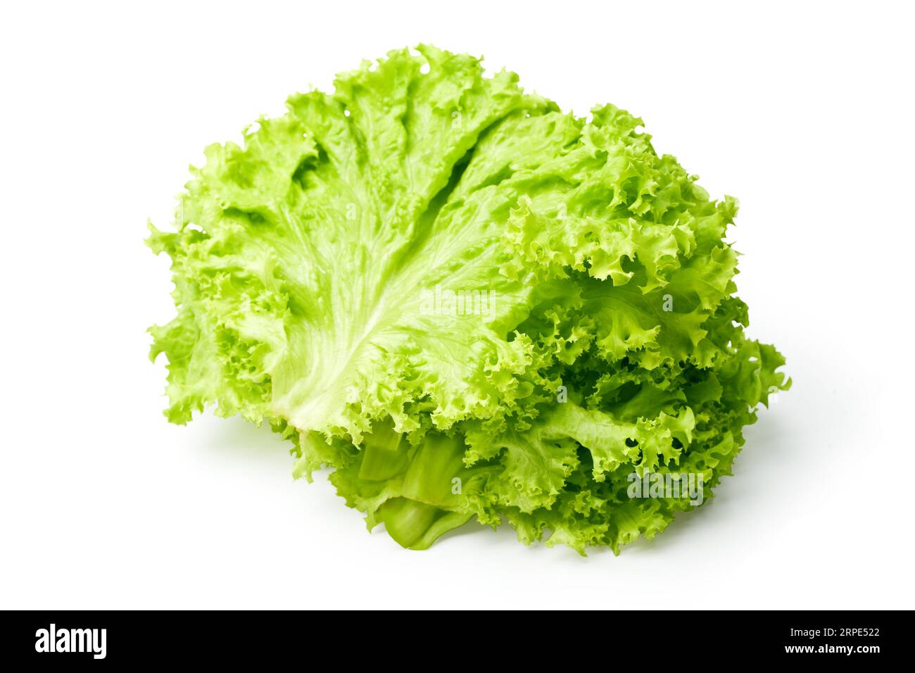 salad, lettuce, isolated on white background, clipping path, full depth of field Stock Photo