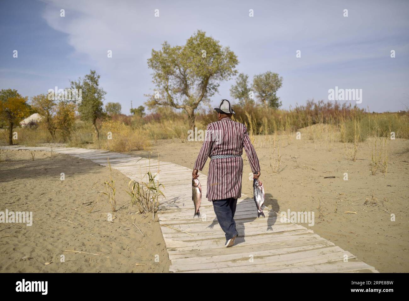 (190821) -- YULI, Aug. 21, 2019 -- Amudun Abudu prepares to make roasted fish in Lop Nur People Village in Yuli County, northwest China s Xinjiang Uygur Autonomous Region, Oct. 16, 2018. Lop Nur People Village is located in Yuli County, where Tarim River flows through the deserts with populus euphratica forests reflection on the shimmering waves. Amudun Abudu, a 61-year old typical Lop Nur villager, works in local tourism industry. With the changes of the times, many Lop Nur people have various options for a living, yet he insists on the tradition of fishing in rivers and lakes. Not only does Stock Photo